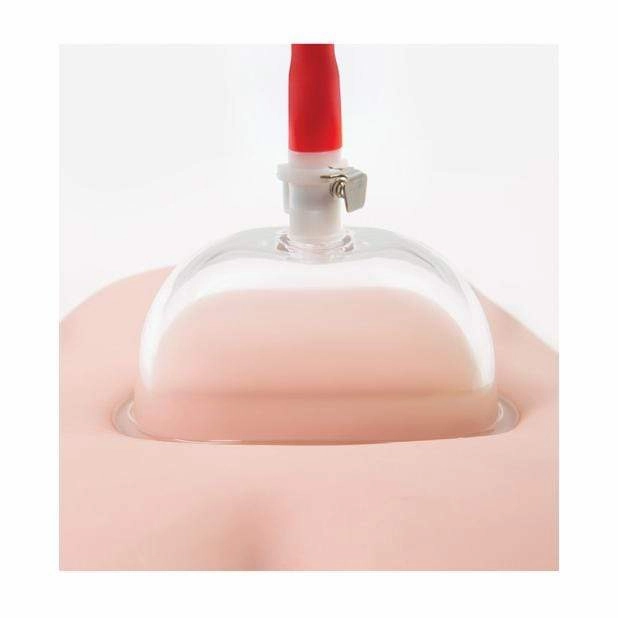 Blush Novelties - Temptasia Intense Pussy Pump System (Clear)
