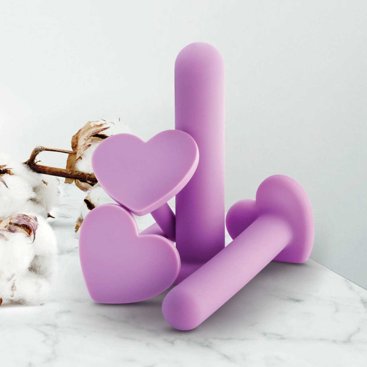 Blush Wellness Dilator Kit