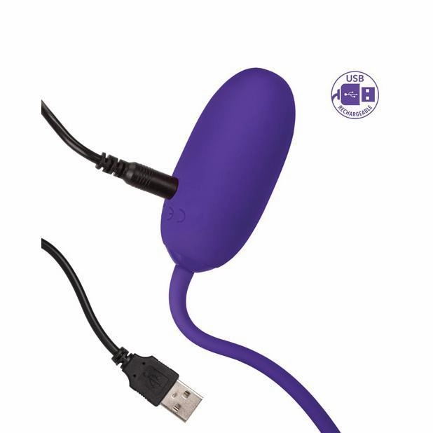 California Exotics - Rechargeable Kegel Ball Starter (Purple)