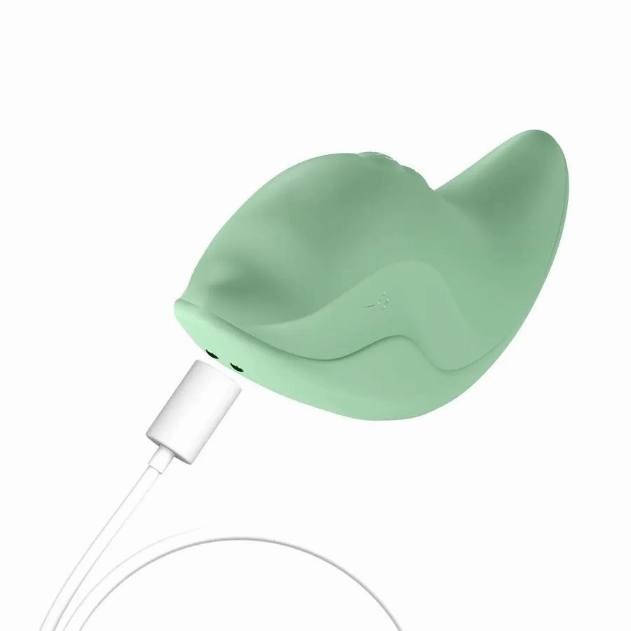 Cute Dolphin Female Masturbation Vibrator