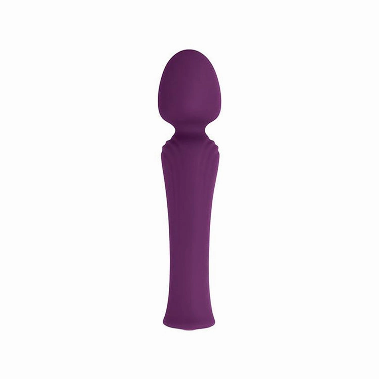 My Secret Wand Vibrator