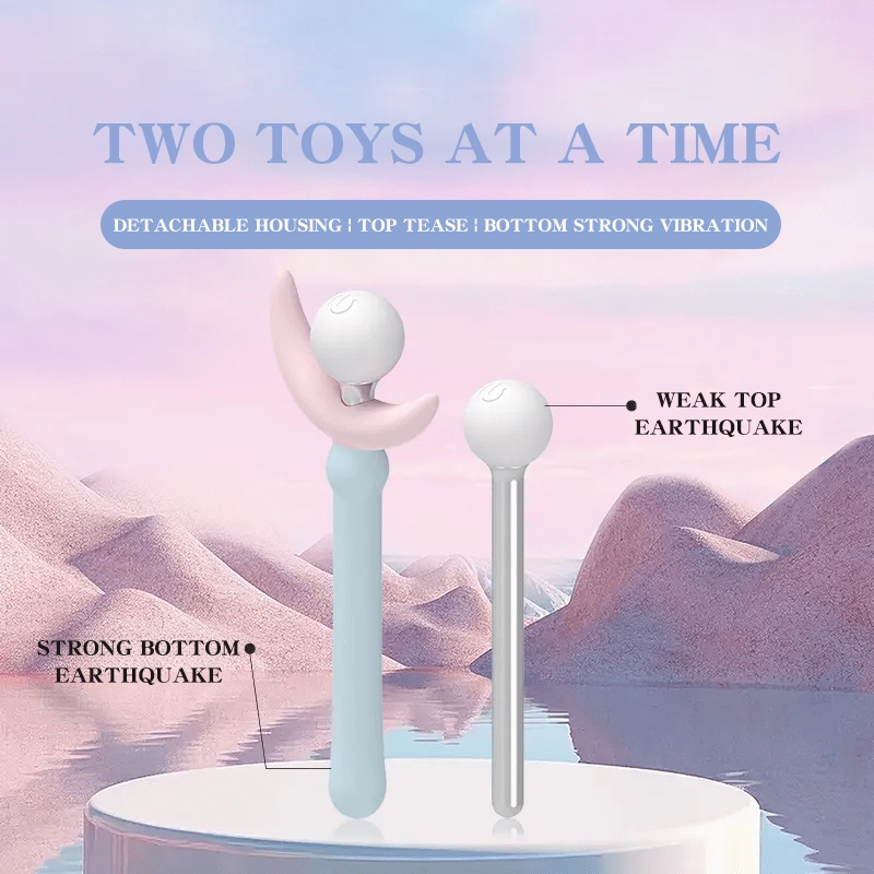 Princess and Rose Truncheon Vibrator Detachable Adult Toys